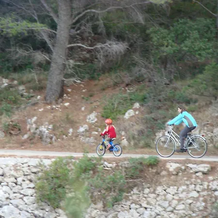 Oleandri