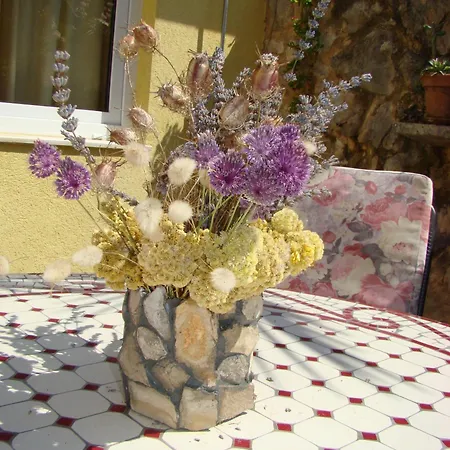 Oleandri Appartamento
